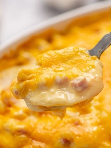 Scoop of cheesy scalloped potatoes with ham.