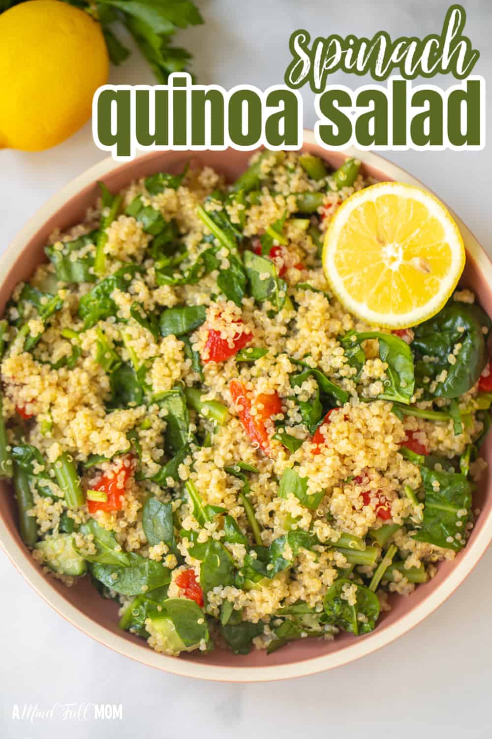 Quinoa Spinach Salad is a simple, protein-packed, refreshing salad, made with quinoa, spinach, and a light and bright lemon dressing.