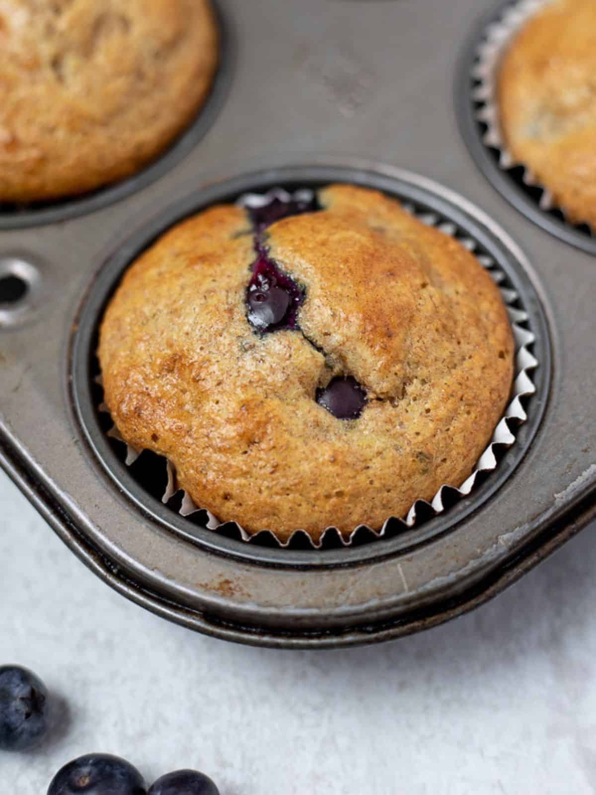Whole Wheat Blueberry Muffin in muffin tin next to fresh blueberries.