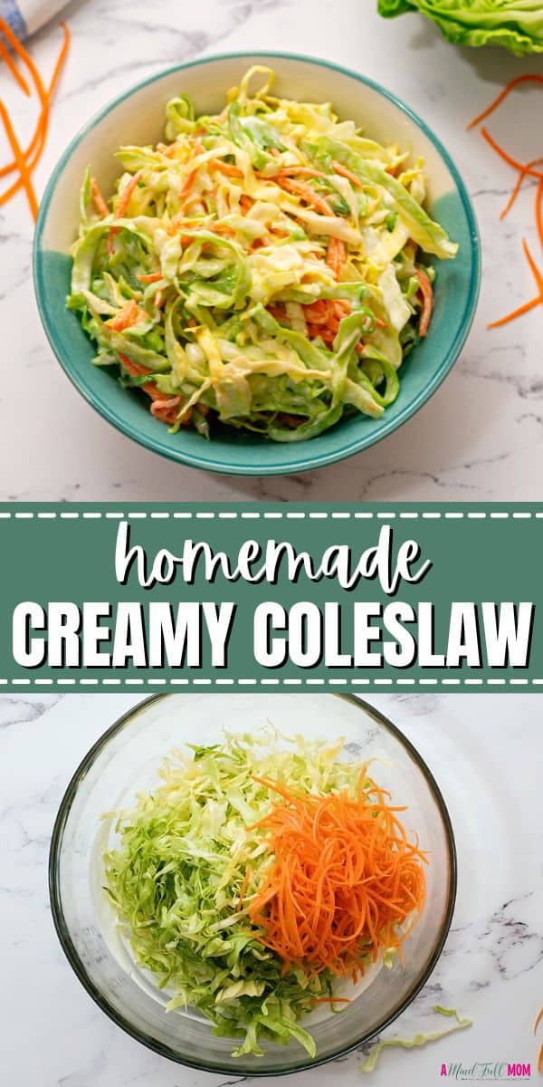 It could not be easier to make creamy coleslaw at home! This recipe for homemade coleslaw comes together in minutes with just a few ingredients and is the perfect side dish or accompaniment to barbecue sandwiches.