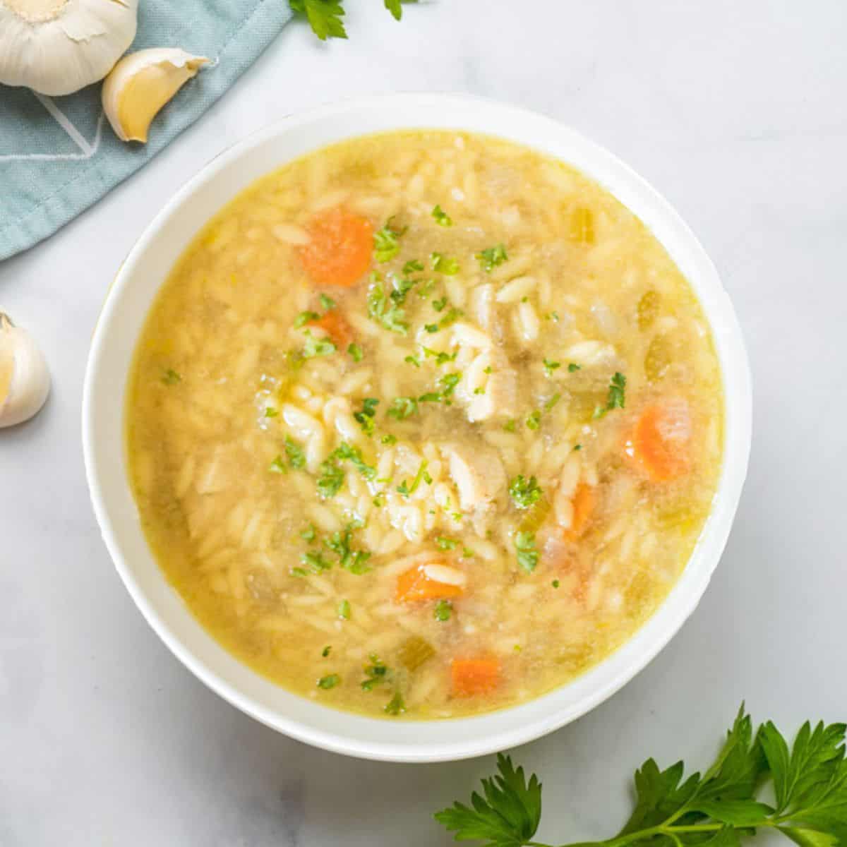 Quick & Cozy Instant Pot Chicken Soup with Orzo