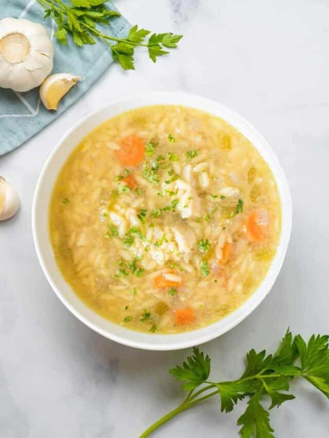 Easy Instant Pot Chicken Soup with Orzo