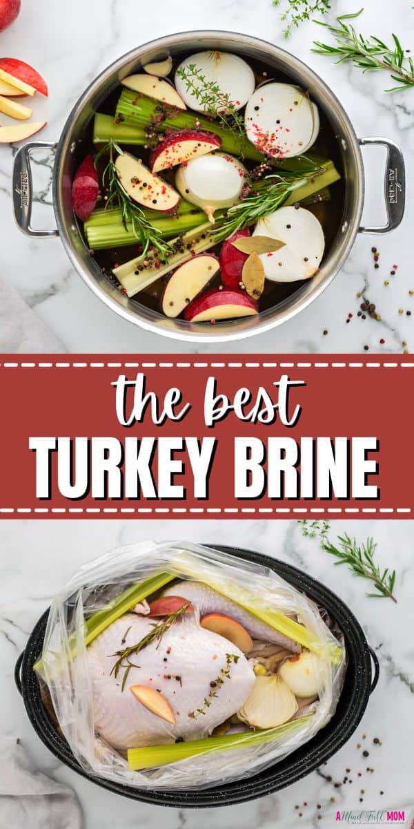 You can say goodbye to dried-out, flavorless turkey by following these step-by-step directions for how to brine a turkey! This simple turkey brine recipe will guarantee that your turkey is juicy and full of flavor.