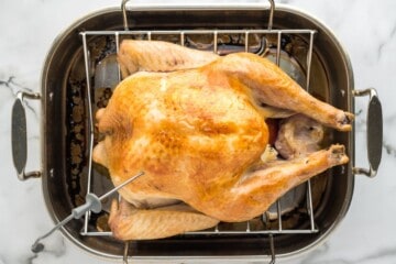 Thermometer probe placed inside turkey breast in turkey inside a roasting pan.