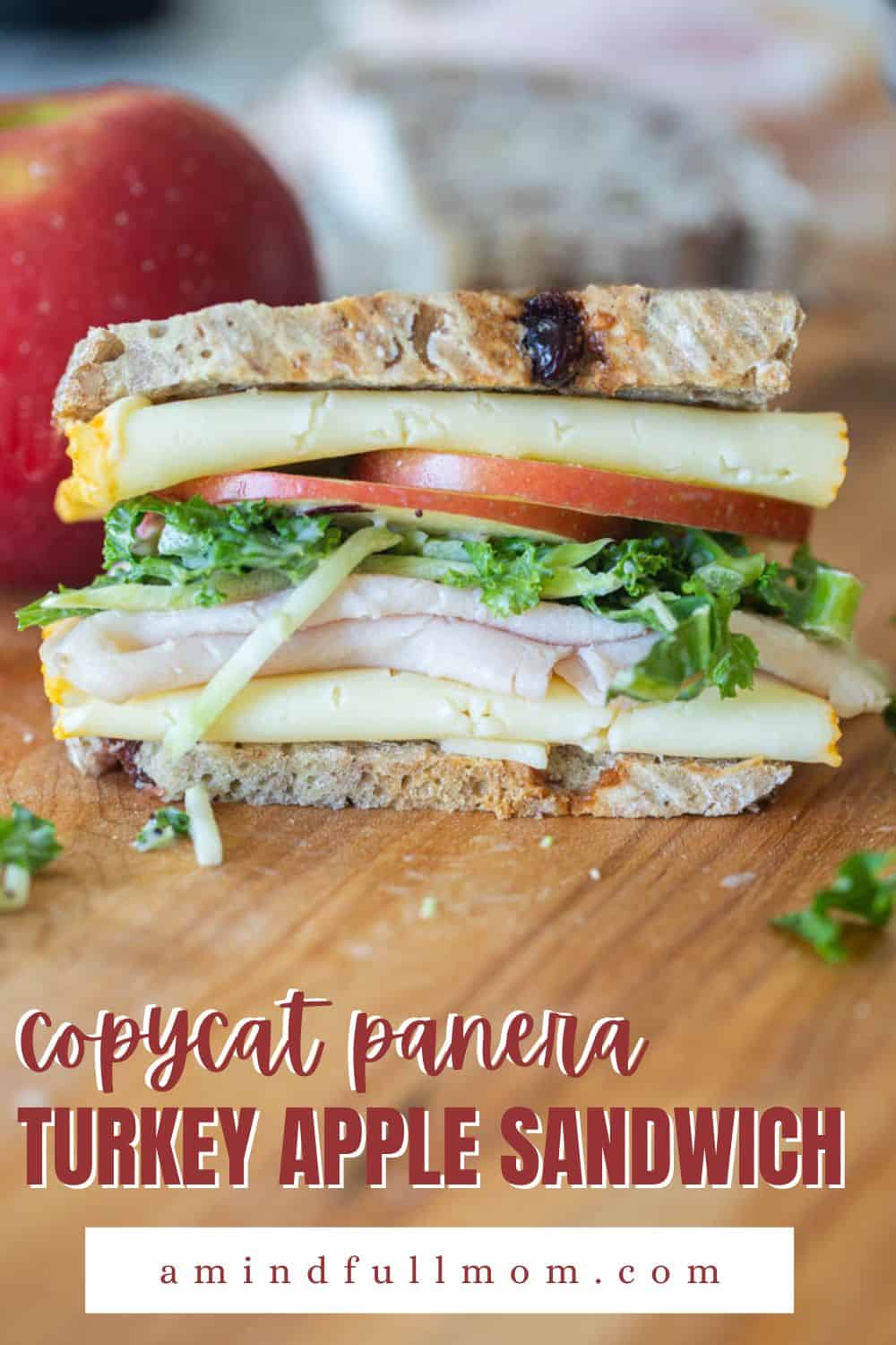 If you love Panera Sandwiches, you will LOVE this Copycat Panera Roasted Turkey, Apple, and Cheddar Sandwich! Made with slices of roasted turkey, sweet apples, and sharp cheddar cheese on homemade cranberry walnut bread, this is the best recipe for a turkey sandwich!