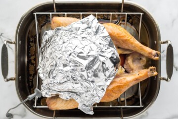 Roasted turkey in roasting pan with foil covering turkey breast to prevent from overbrowning.