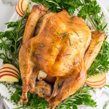 Roasted turkey on white platter served with fresh apple slices on a bed of fresh herbs.
