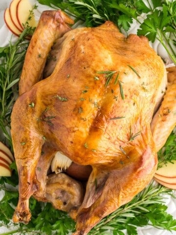 Roasted turkey on white platter served with fresh apple slices on a bed of fresh herbs.