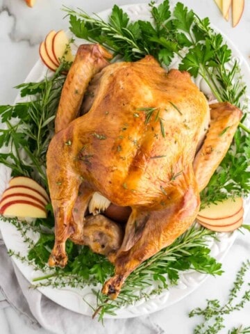 Roasted Turkey on platter served on top of fresh herbs with sliced apples.