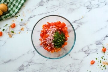 Diced tomatoes with onions and cilantro.