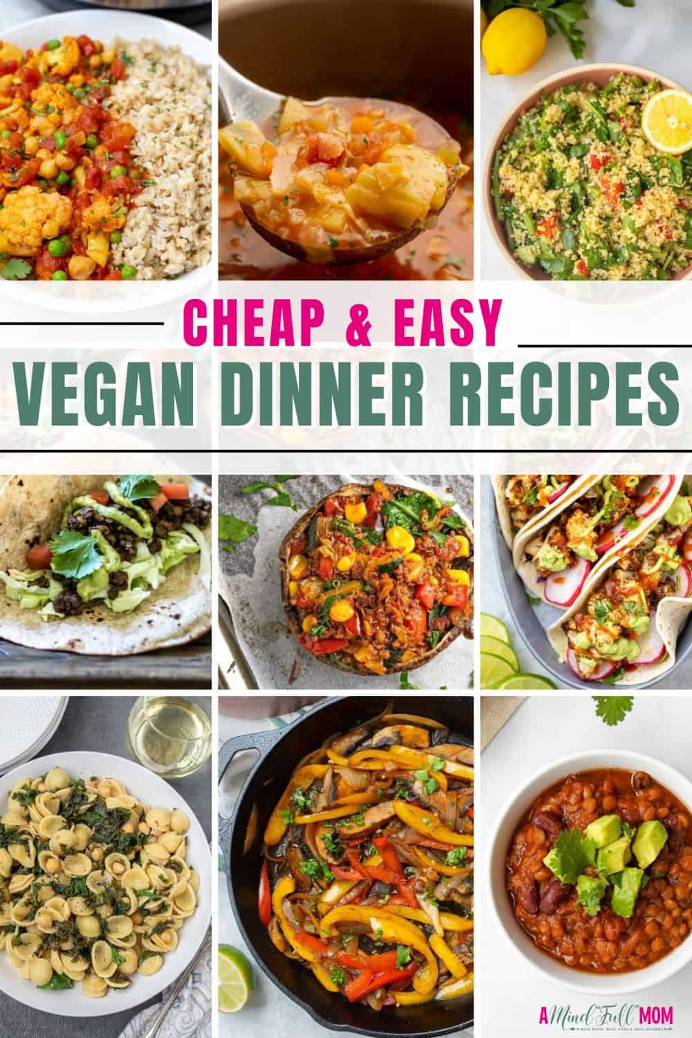 Whether you are trying to incorporate more whole foods into your diet, cut back your expenses, or add more vegan dinners to your rotation, I have created the Ultimate list of Cheap & Easy Family-Friendly Vegan Dinner Recipes to add to your meal plan!