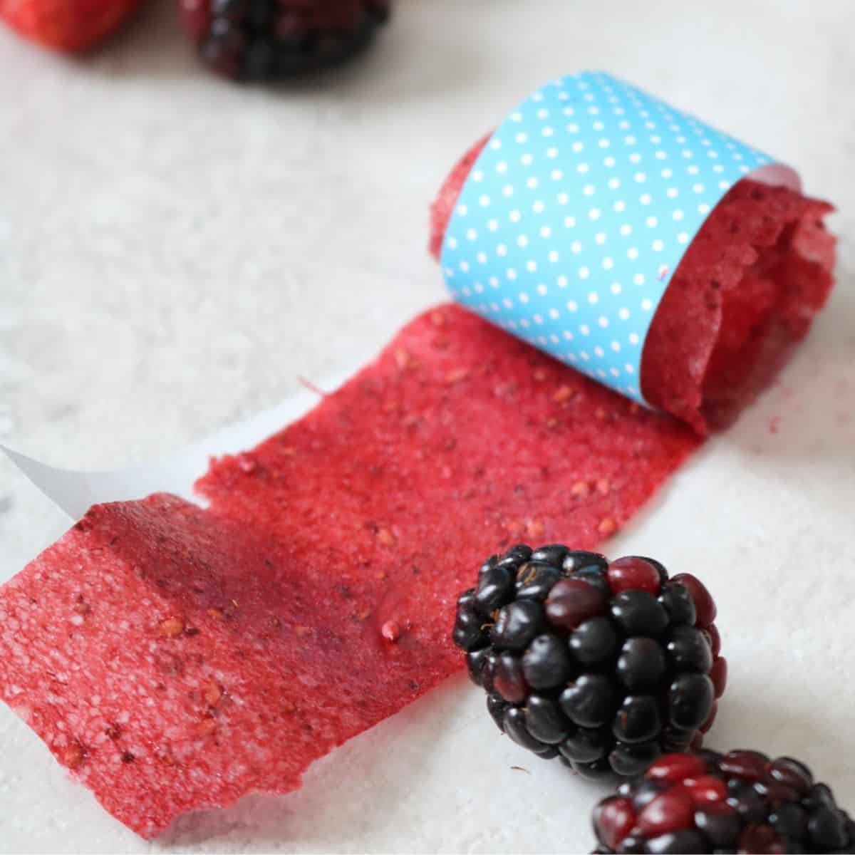 Homemade Blackberry Fruit Roll-ups - Paleo Grubs
