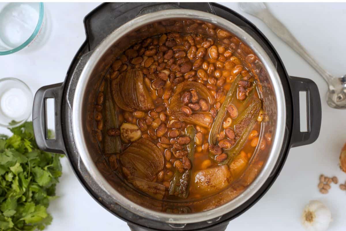 Dried pinto beans inside inner pot of instant pot after being pressure cooked before cooking liquid drained off.