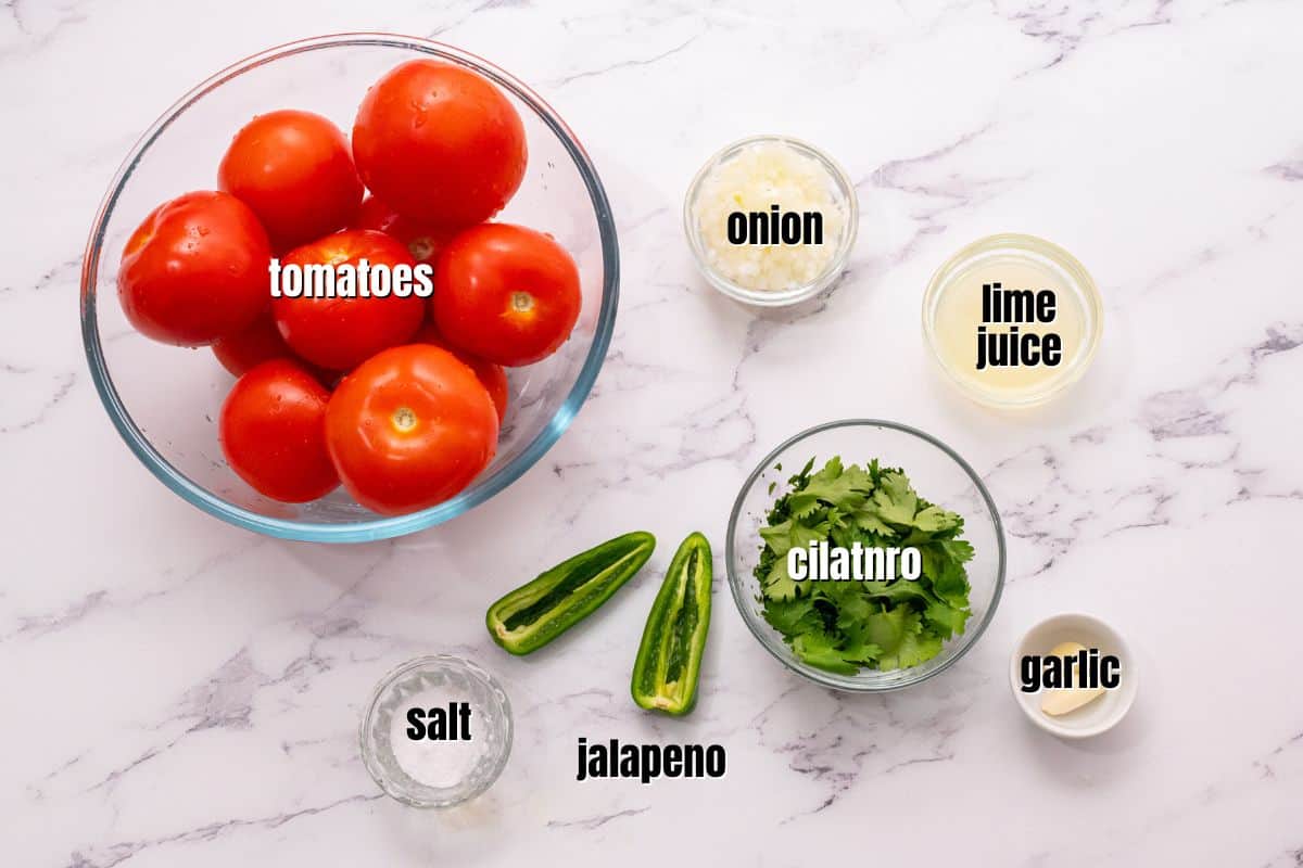 Ingredients for blender salsa labeled on kitchen counter.