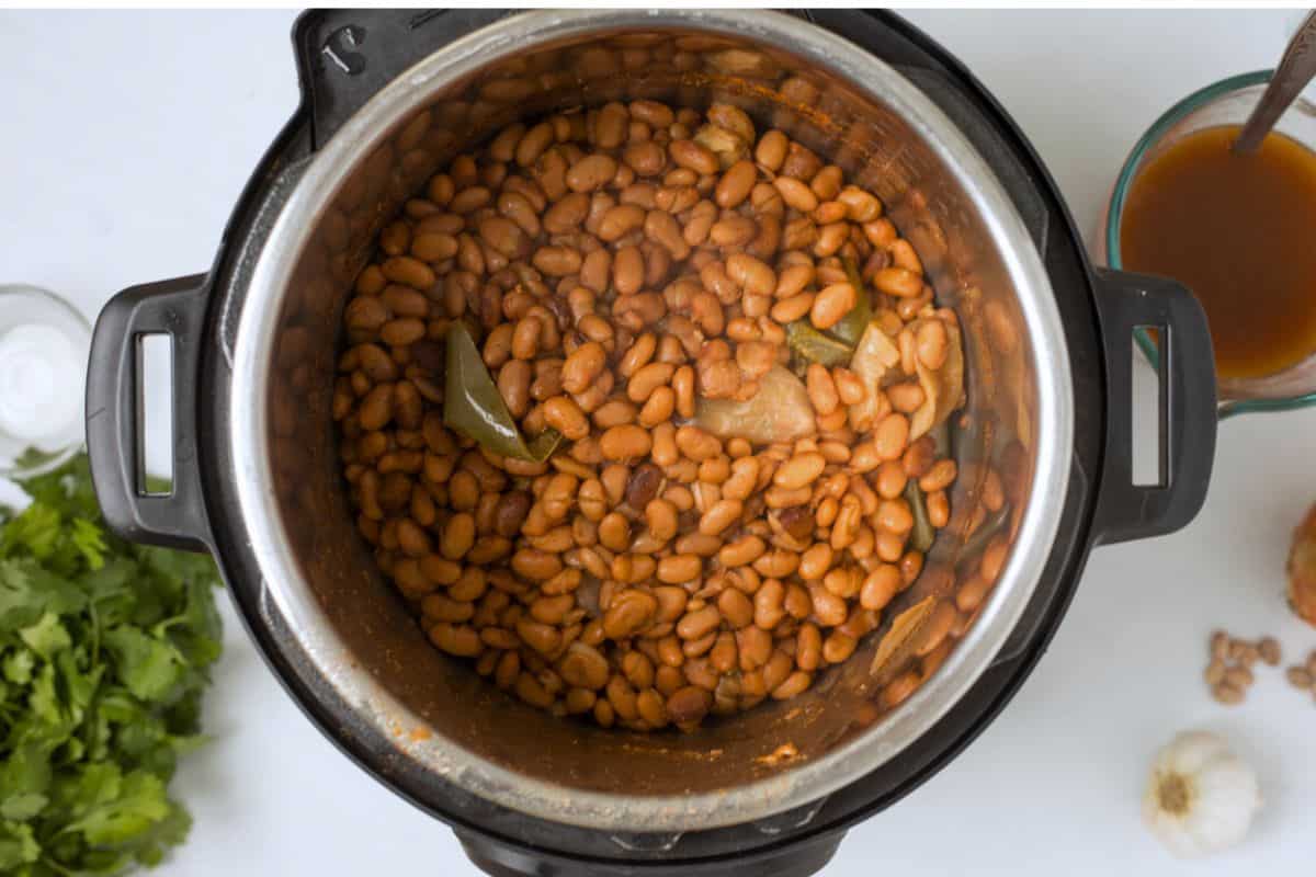 Dried pinto beans inside inner pot of instant pot after being pressure cooked and cooking liquid drained off.