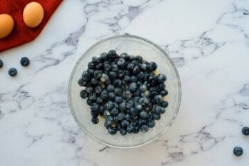 Blueberries folded into sweetened sour cream mixture in large mixing bowl.