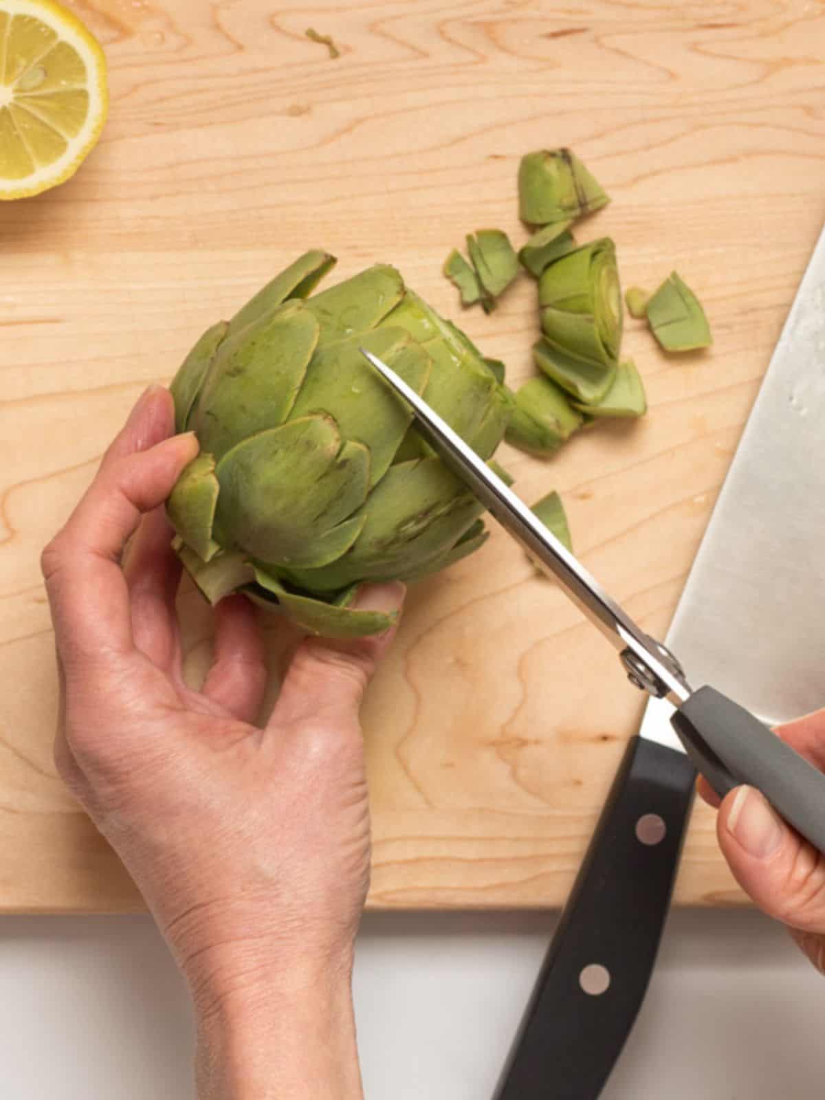 Kitchen shears cutting off thorn on stems of small artichoke.