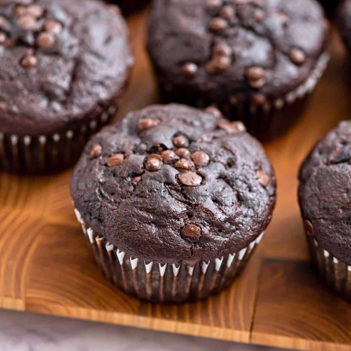 Chocolate Zucchini Muffins