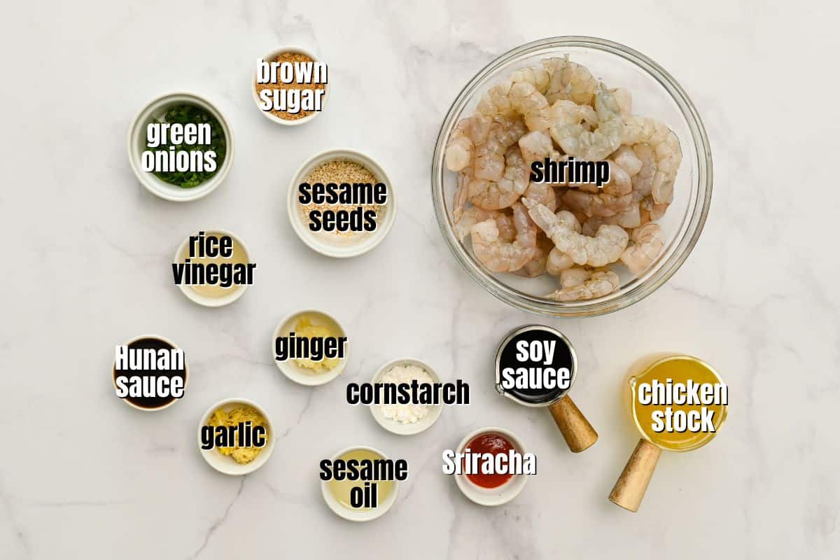 Ingredients for homemade General Tso Sauce with shrimp and green onions labeled on counter.