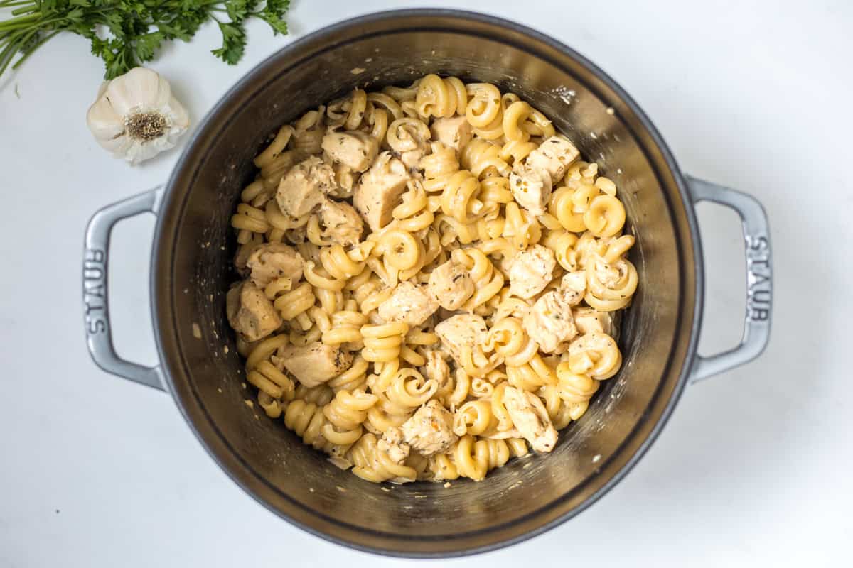 Pasta in large stock pan with chicken in creamy parmesan sauce.