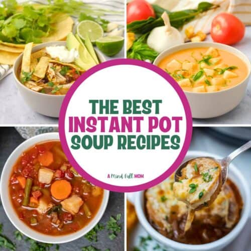 Over 30 Instant Pot Soup Recipes {Tried, Tested & True}