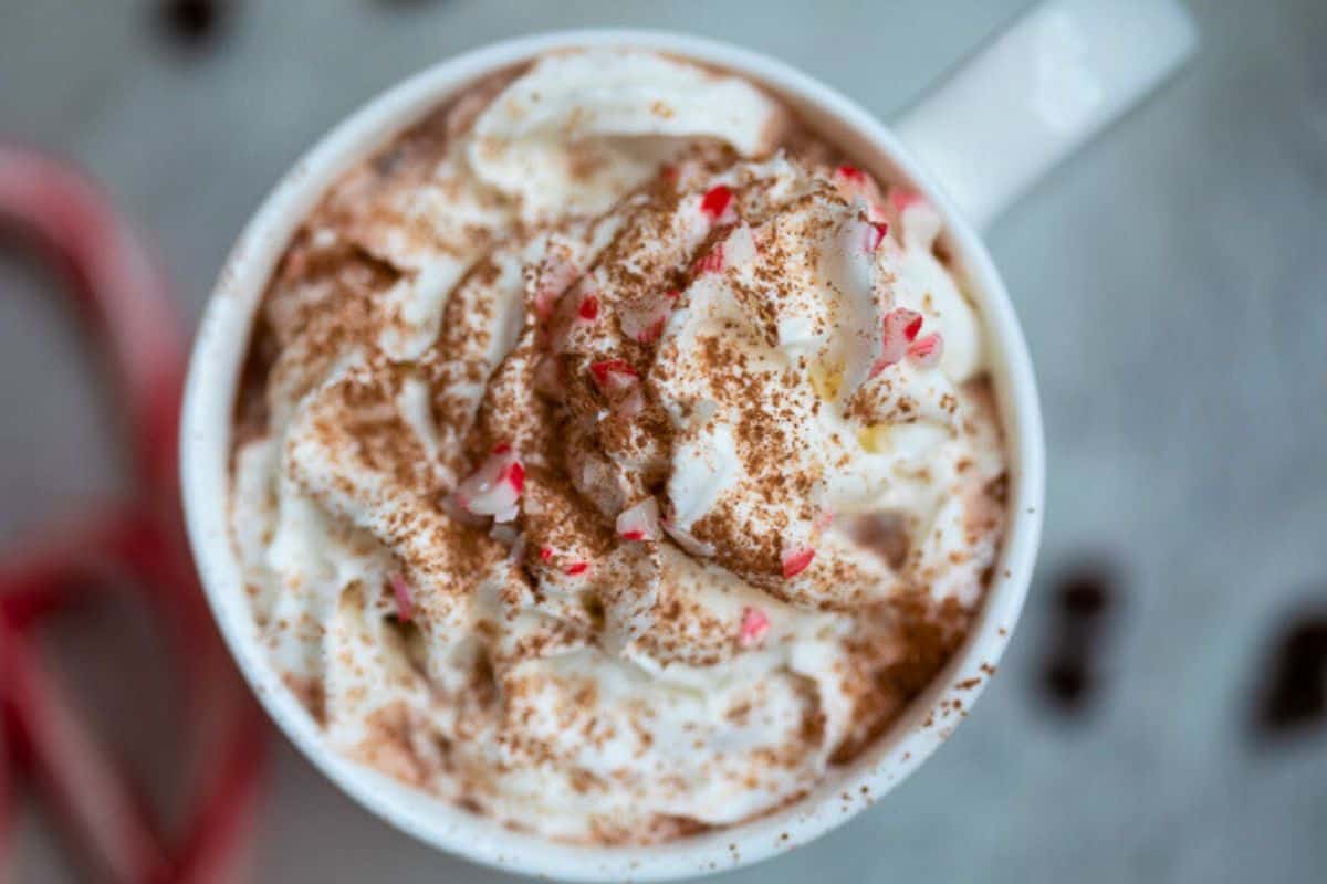 Recipe Homemade Hot Chocolate Mug of homemade hot chocolate made with chocolate and cocoa powder topped with whipped cream and dusting of cocoa powder.