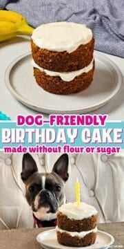 Collage of two layer dog cake with boston terrier with text that reads dog-friendly birthday cake no sugar or flour.