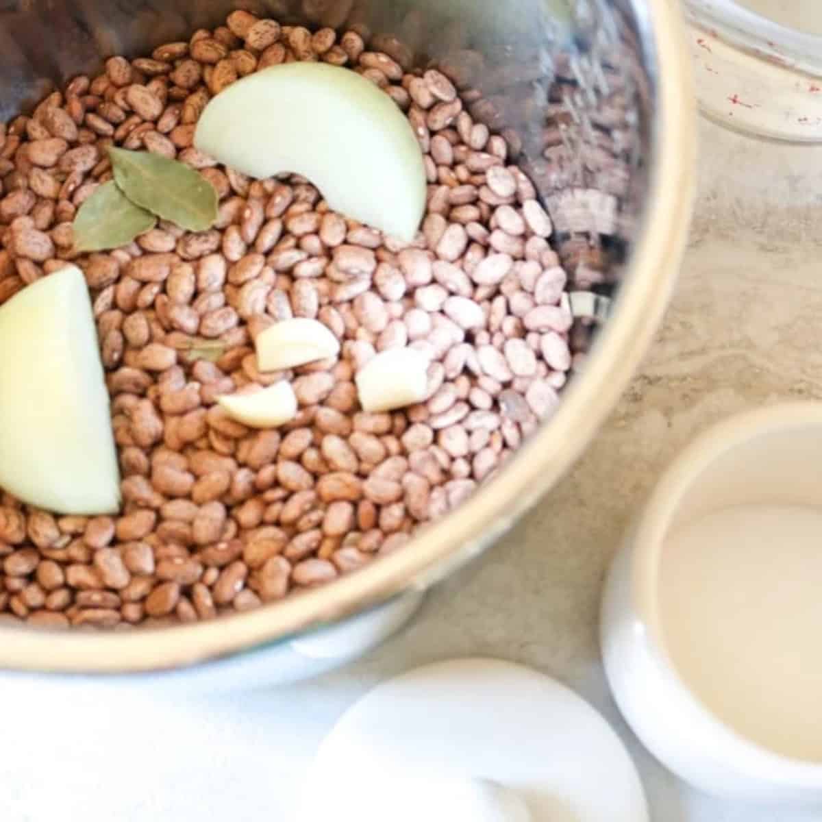 Instant Pot Dried Beans