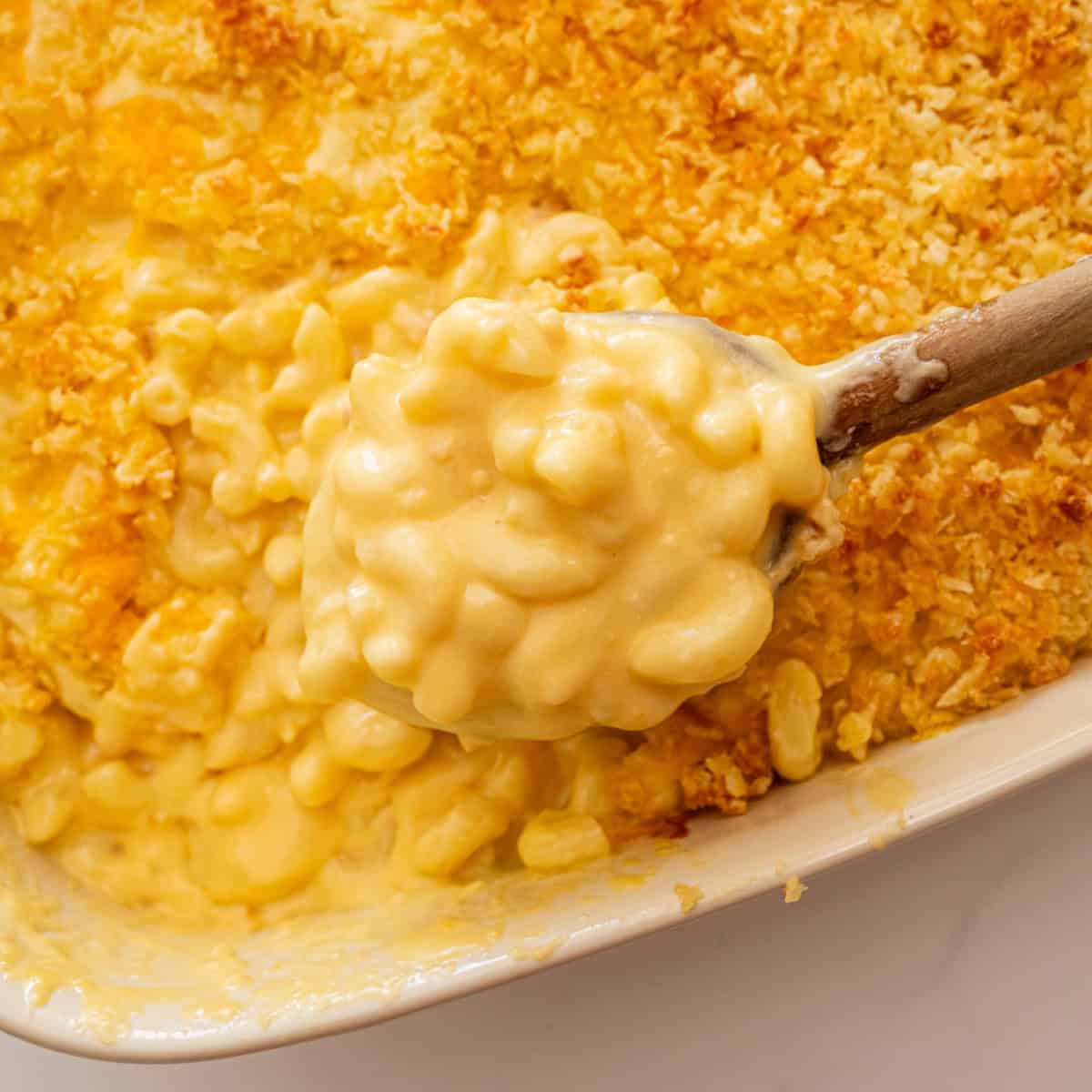Creamy Baked Mac and Cheese