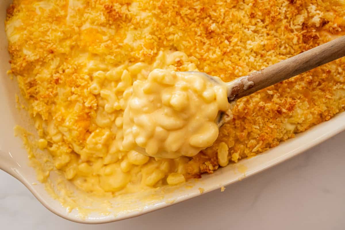 Creamy Baked Mac and Cheese for a Crowd Spoonful of baked mac and cheese coming out of baking dish topped with parmesan topping showing a thick, creamy, smooth cheese sauce.